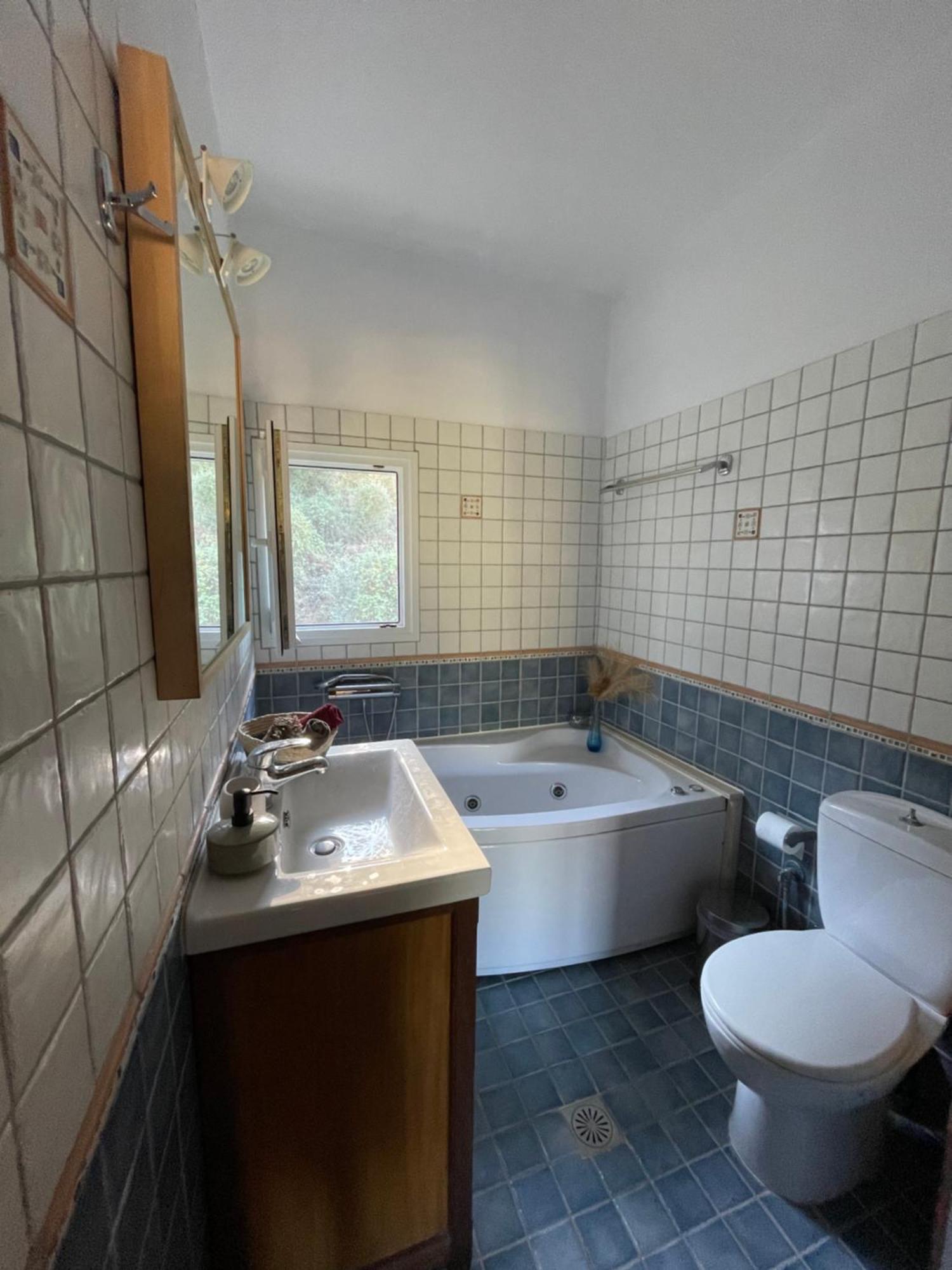 מיקרוס גיאלוס Gialos Villas 1-2 With A Private Pool מראה חיצוני תמונה